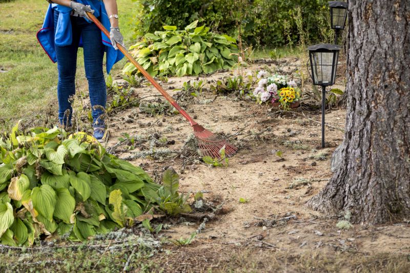 Easement Land Clearing in Salt Lake City, UT