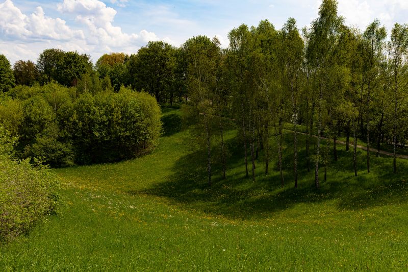 Hill Clearing in Salt Lake City, UT